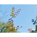 湘潭市教育局第四届智慧课堂教学研讨会正式启动
