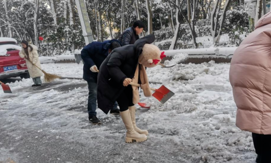 湖南众擎律师事务所组织开展扫雪除冰主题党团日活动