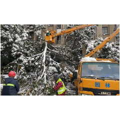 大雪来临三天内 湘潭市风景园林中心已处理树木断枝1500余起