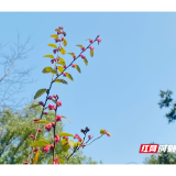 视频丨迎接宝宝降临 到湘潭市妇幼保健院更舒心