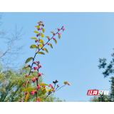 湘乡经开区调区扩区方案获省政府同意  