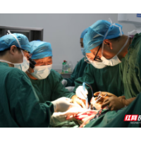 骨健康领跑者丨湘潭市中医医院骨伤六科:中医精粹融汇前沿微创 为手足撑起健康伞