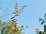 湘潭市公共资源交易中心举办“阳光交易大讲堂”  