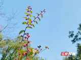 个人缴费标准400元/人！2026年度城乡居民医保缴费工作有关事项明确