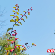 湘潭环保信用评价工作成效显著   