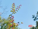 国防动员小课堂⑩丨 你身边有哪些人防设施？这张人防地图告诉你