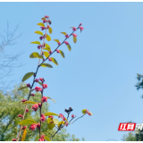 湖南省文联“文艺维权三湘行”暨文艺行风巡回宣讲活动走进湘潭