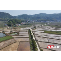 我爱湘潭我的家 | 湘乡40万亩早稻插秧忙 机械化作业按下春耕“快进键”