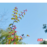 “爱晚”老年学校提质改造 韶山市民生实事让老年生活更多彩