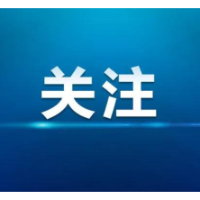 眼中的斑马线变成波浪线？一针“追光”老司机重握方向盘享自驾人生