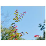 暖“新”更暖心 湘潭市场监管祝骑手“节日快乐”