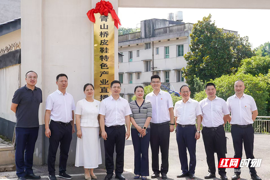 湘潭县青山桥皮鞋特色产业直播基地揭牌 
