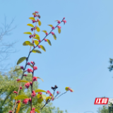 今年6月湘潭PM2.5浓度创2015以来同期新低