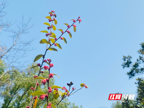 今年6月湘潭PM2.5浓度创2015以来同期新低