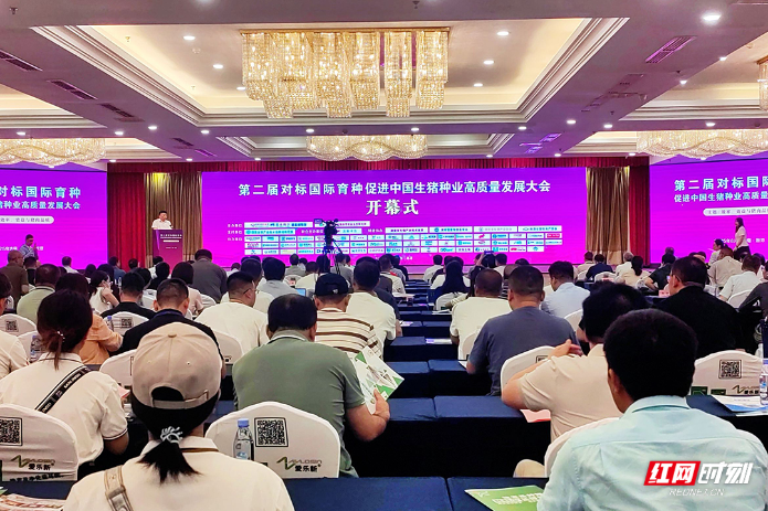 视频丨生猪种业如何实现从“跟跑”到“领跑”？全国行业专家、企业湘潭论剑