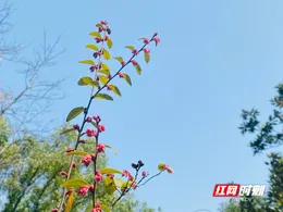 湘潭市“三改一扩”助企转型升级成效显著  