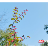 湘潭2025年秋季中小学（幼儿园）收费标准出炉  