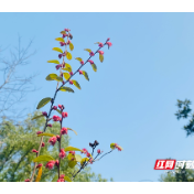 湖南科技大学学子荣获全国大学生测绘学科创新创业智能大赛3项特等奖