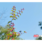 岳塘区多点发力推进社会保险扩面提质