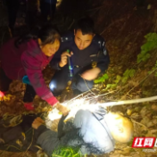 视频丨湘潭县一七旬老人进山砍柴失联 警民联手成功营救