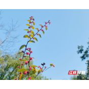 湘潭发出首张失能老人养老消费券 国家补贴项目惠及照护家庭