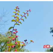 全国首个空港主题街区在窑湾开工   