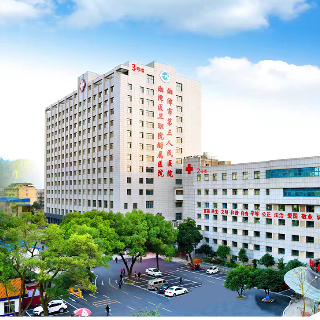 “老方子”+“新路径” 看湘潭医卫职院附属医院中医科的“融合”之道