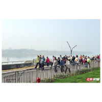 我爱湘潭我的家丨春风吹绿湘江岸 三千市民健步行