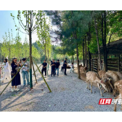 “红色热土 青春湘潭”中央、省、市各级媒体集中采风活动启动