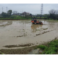 岳塘区:抢抓农时忙春耕 多措并举保粮安
