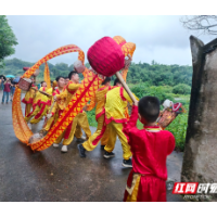 组图丨湘潭:火龙舞动“六月六” ,“禾花灯”下祈丰年