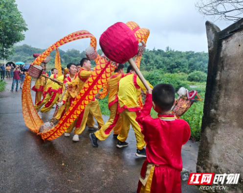组图丨湘潭：火龙舞动“六月六” ，“禾花灯”下祈丰年