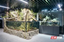 企业服务年丨“水下奇幻王国”亮相 湘潭高新区昭山片区“贴身管家”全程护航