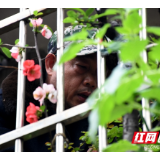 我的小小世界·花园篇丨宾洪波的阳台小花园