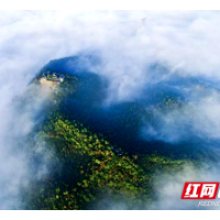 视频丨逛说湘潭之昭山名字的由来（二）周昭王伐楚上昭山