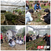 校企合作开新篇 湘潭生物机电学校开展兰草种植现场教学活动