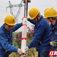 国网湘潭供电公司“对症下药”防外破 筑牢线路“安全网”