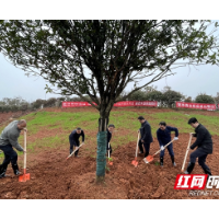 省长株潭两型社会建设服务中心领导到湘潭开展义务植树