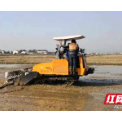 湘潭市供销社跑出改革“加速度” 打造为农服务“新格局”