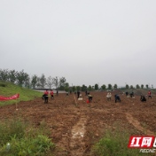 湘潭市发改委、市两型社会建设服务中心等联合开展主题党日活动