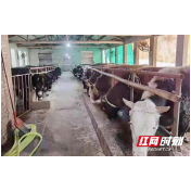 湘潭农商银行：惠农担特色贷，贷出农户幸福之路