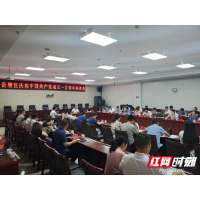 岳塘区庆祝中国共产党成立100周年座谈会召开
