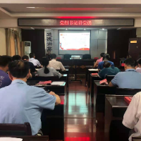 湘潭市残联举行庆祝建党100周年主题党日活动(图)