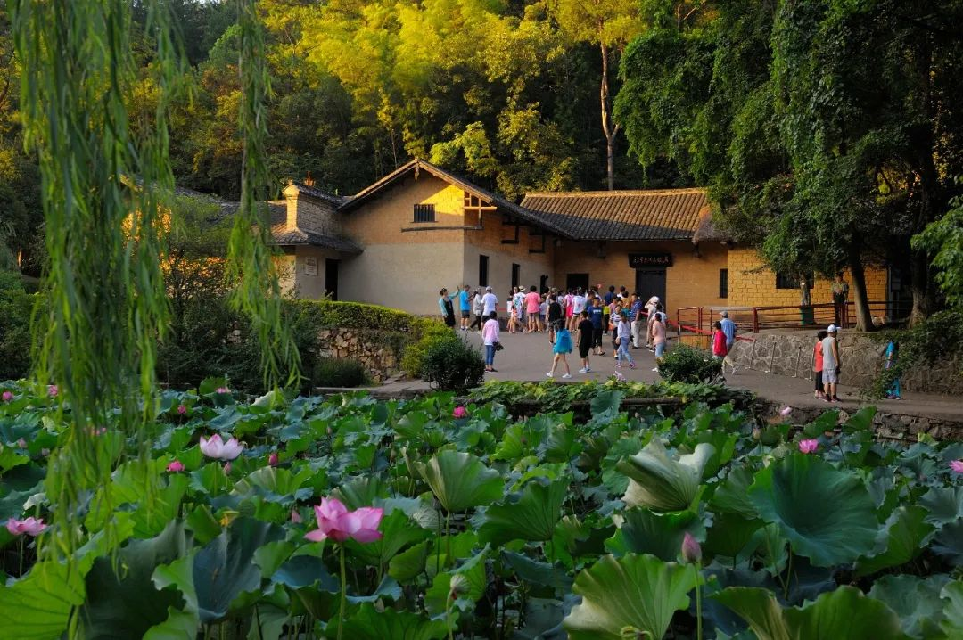韶山景区：全面开启 “ 自由行 ”