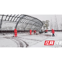 暴雪来临  岳塘经开区开发建设局奋战一线保畅通