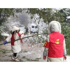 “冰”临城下之后  雨湖区干部、党员这么干