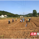 湘潭县花石镇党建引领，激活村级集体经济“一池春水”