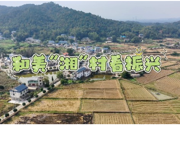 乡村振兴看湘潭·和美乡村篇①丨韶山市黄田村：红色研学“火出圈” 和美乡村入画来