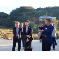 湘潭市领导调研湘潭县传统村落保护利用工作