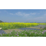 2023年韶山首届“花朝节”的浪漫，你一定不能错过！